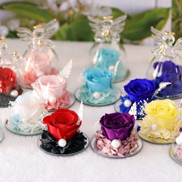 Мәңгілік періште раушан