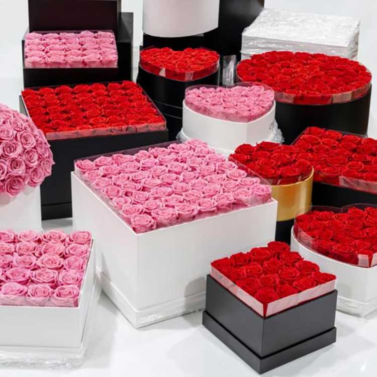 Сақталған гүл құшақ шелегі