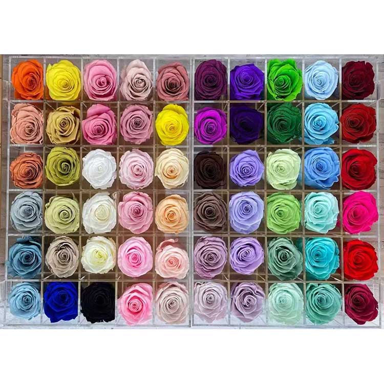 Сақталған раушандар